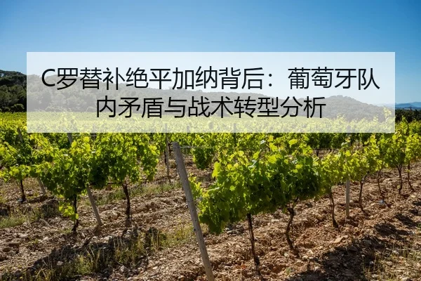 C罗替补绝平加纳背后：葡萄牙队内矛盾与战术转型分析